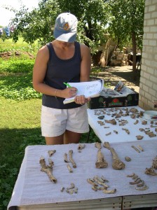 Analyzing the remains from a 2,000-year-old burial mound in Alexandropol, Ukraine (2006).