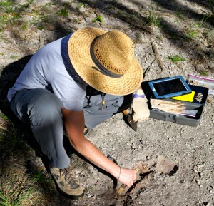 wentz excavation shot